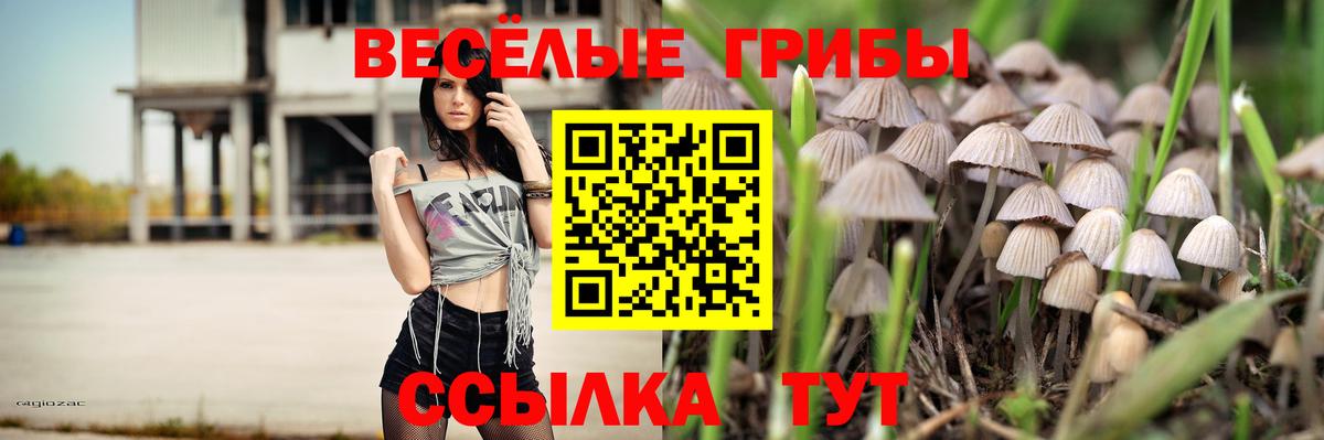 Галлюциногенные грибы мухоморы  Вход с VPN  Долгопрудный 