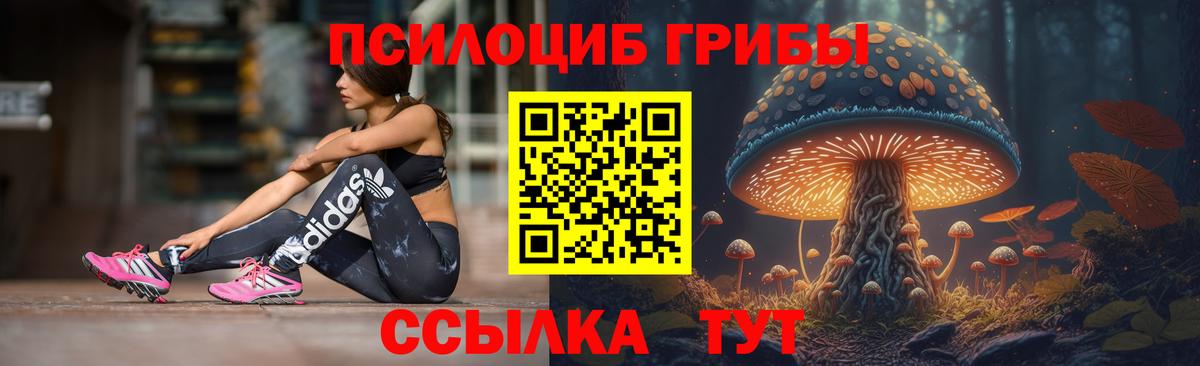 Псилоцибиновые грибы мицелий Долгопрудный